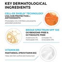 La Roche-Posay Anthelios Melt-in Milk Protector Solar SPF 100 90ml