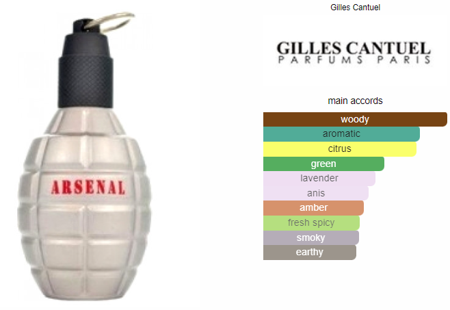 Arsenal Gris Gilles Cantuel EDP Caballero 100ml