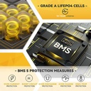 Batería Litio Power Queen Mini LiFePO4 de 12,8 V y 100 Ah, BMS integrado