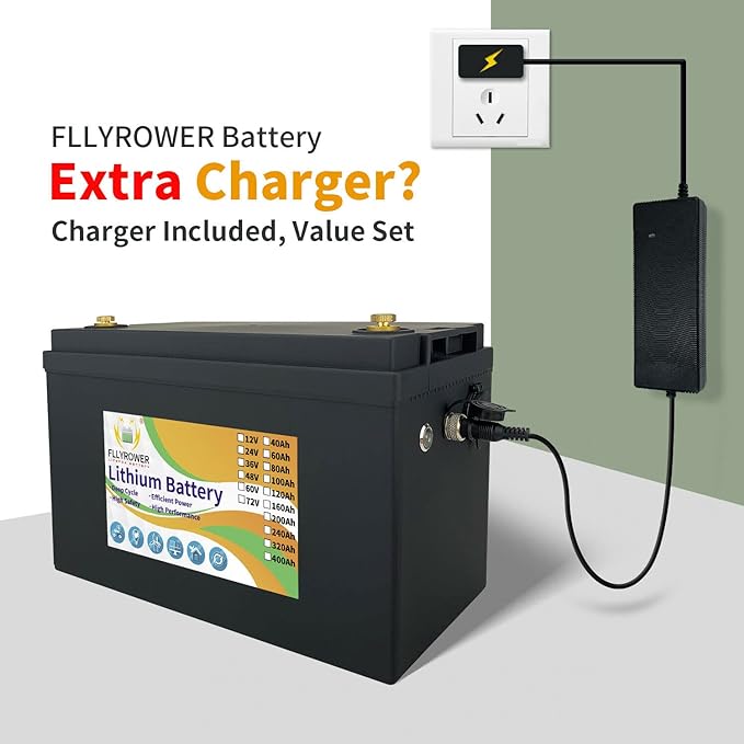 Bateria Litio FLYPOWER Lifepo4 12V 100Ah BMS y Cargador Incluido